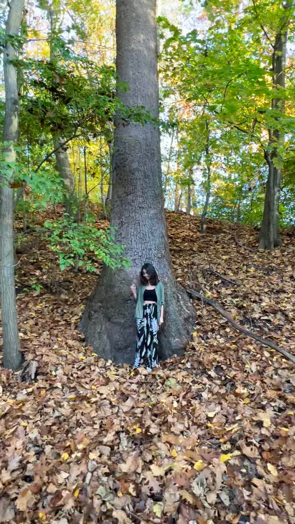 gratitude as alchemy