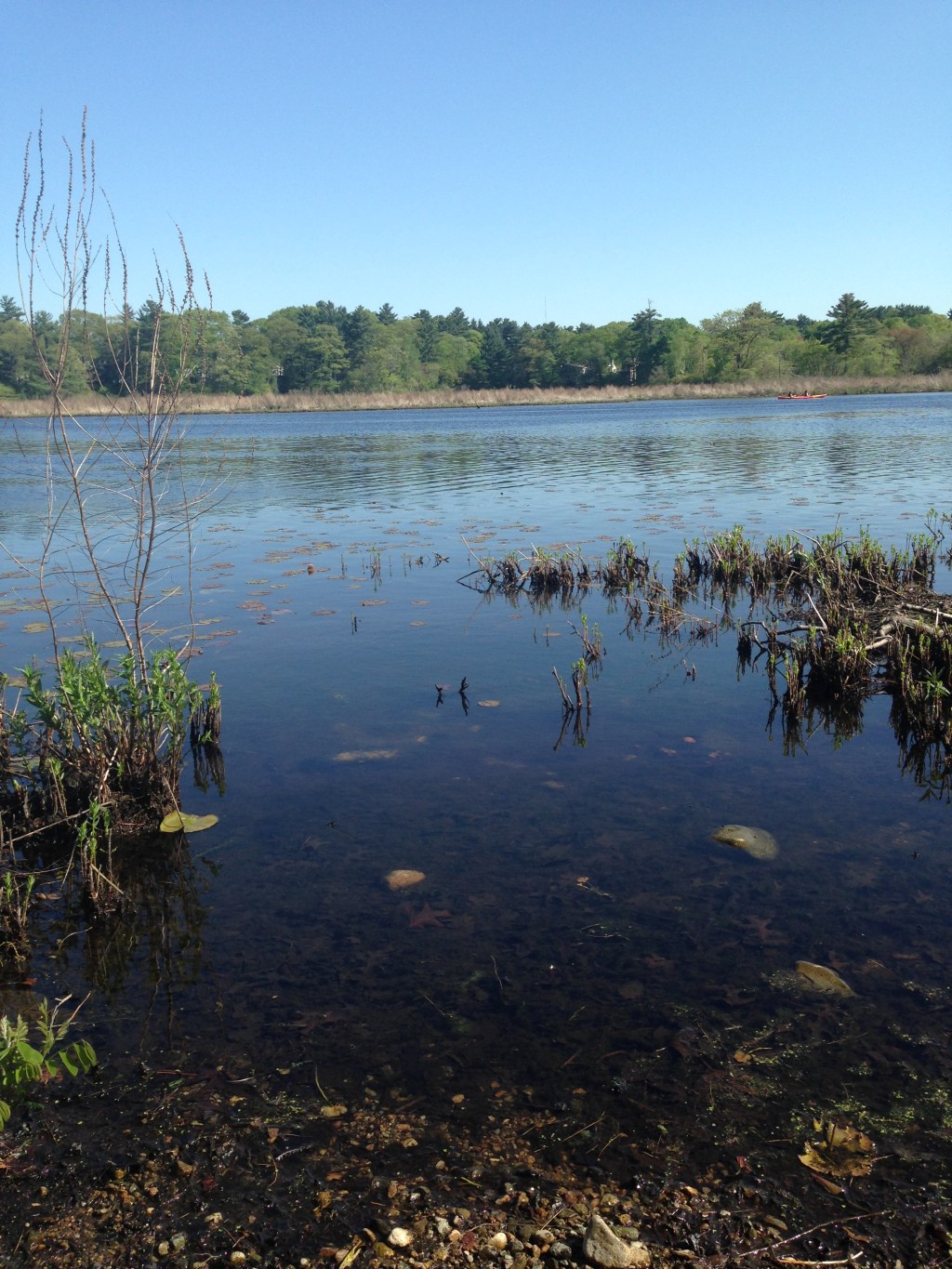 how you changed&nbsp;me